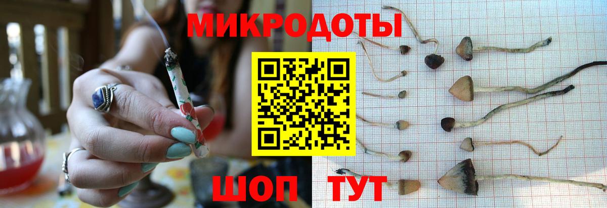 Псилоцибиновые грибы Cubensis Дзержинск
