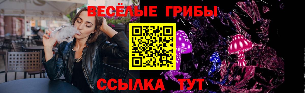 Псилоцибиновые грибы Magic Shrooms  Псилоцибиновые грибы GOLDEN TEACHER  Дзержинск  Вход с VPN 